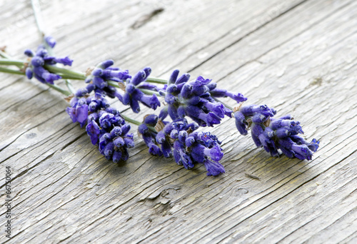 Naklejka dekoracyjna Lavendel zum Trocknen ausgelegt