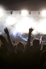 Cheering crowd at concert