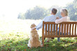 Senior couple outdoors with dog