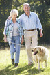 © Monkey Business - Senior couple walking dog