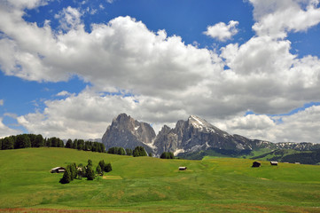 Poster - Italian Alps on summer