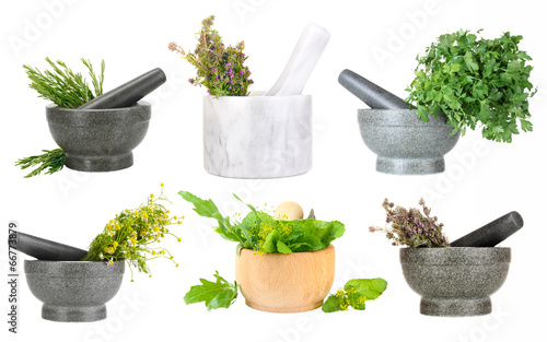 Fototapeta na wymiar Collage of different herbs isolated on white