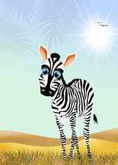 Poster - Zebra