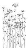 Fototapeta  - Vector flowers silhouettes.
