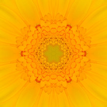 Yellow Mandala Concentric Flower Center Kaleidoscope
