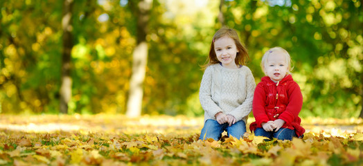 Wall Mural - Two sisters having fun in beautiful autumn park