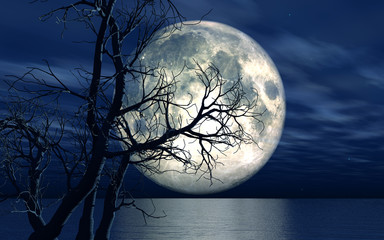 Wall Mural - 3d landscape background with moon and tree