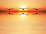 160_f_66816461_2ryiw8azwxyesbo0hfqnjikvwqxydjg5