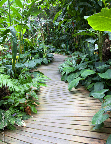 Obraz w ramie Pathway in the forest