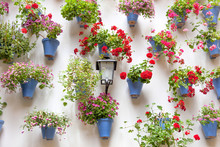 Blue Flowerpots And Red Flowers On A White Wall With Vintage Lan