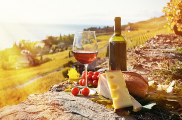 Wall Mural - Red wine, cheese, bread and cherry tomatoes. Lavaux, Switzerland