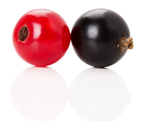 red and black currants with leaves isolated on the white backgro