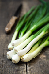 Sticker - Spring onion