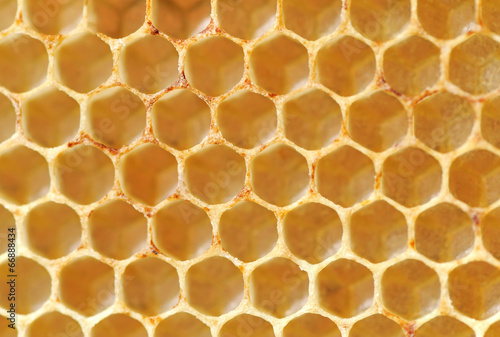 Fototapeta do kuchni Honeycomb