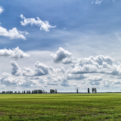 Poster - Summer landscape