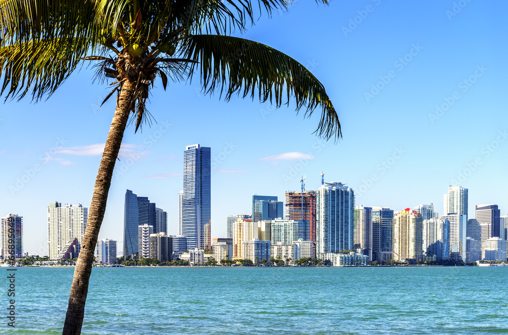 Miami Downtown skyline - obrazy, fototapety, plakaty 