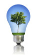 Light bulb with tree