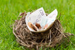 Nest filled with money not eggs
