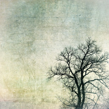 Grunge Frame With Tree Silhouettes