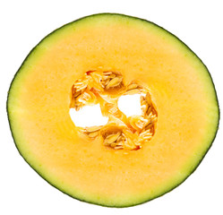 melon fruit slice