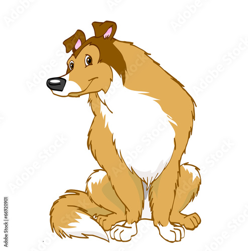 Plakat na papierze fotorealistycznym Pies collie