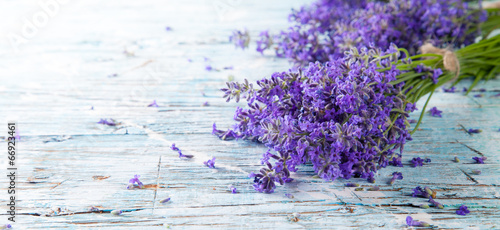 Fototapeta na wymiar Fresh lavender on wood