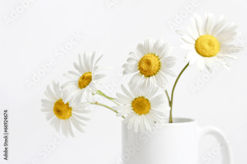 Fototapeta na wymiar chamomile flower in a mug on a white background