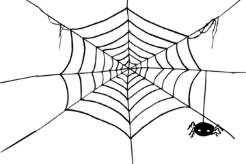hand draw sketch, spider and web