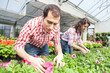 © william87 - Young Gardeners Working at Nursery