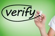 © WavebreakmediaMicro - Businesswoman writing the word verify
