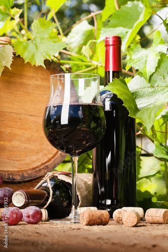 Board z aluminiowym obramowaniem Czerwone wino