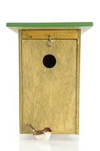 Tomtit In Front Of Birdhouse