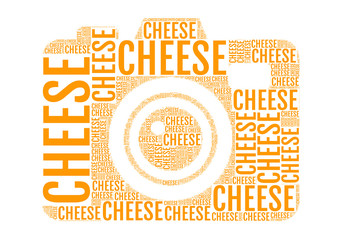 Poster - cheese photo camera, vector