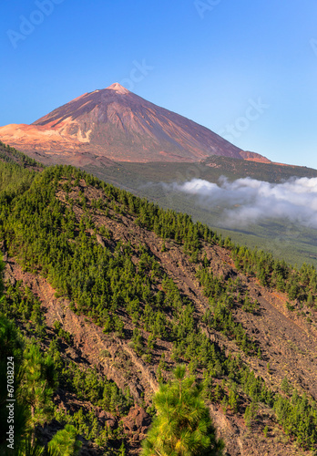 Fotoboard na płycie Teide wulkan poza las sosny w Teneryfa, Hiszpania