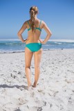 Fototapeta  - Rear view of fit woman in bikini standing on beach