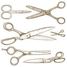 Engraving Illustration Of Scissors