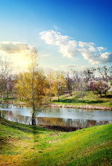 Wall Mural - spring on the river