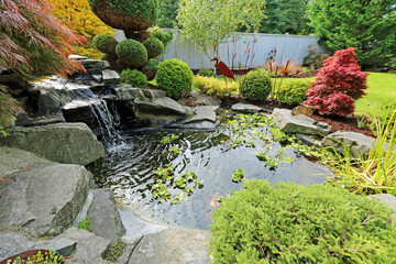 Home tropical garden with pond