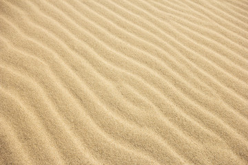  Sand Texture.