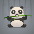 Cute panda gnaws bamboo