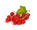 rote Johannisbeeren (Bio)