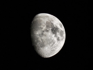 Wall Mural - gibbous moon