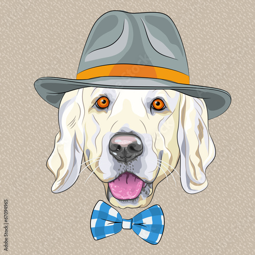 Obraz na płótnie canvas Wektor zabawny kreskówka hipster pies golden retriever