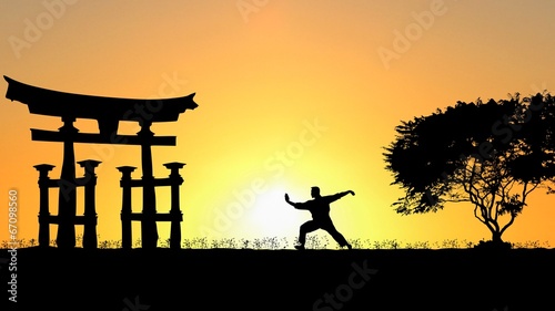 Naklejka samoprzylepna Kung fu z chodzeniem