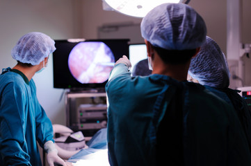 veterinarian doctor in operation room for laparoscopic surgical