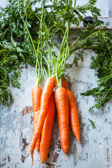 Wall Mural - Fresh organic carrots