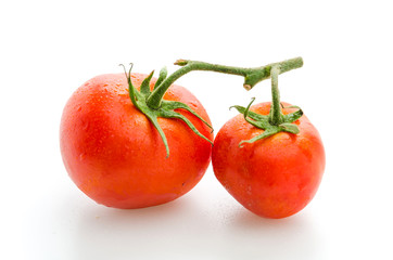 Wall Mural - Tomato isolated on white