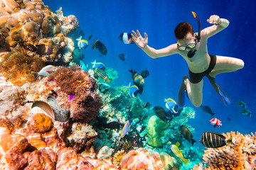 Wall Mural - Snorkeler Maldives Indian Ocean coral reef.