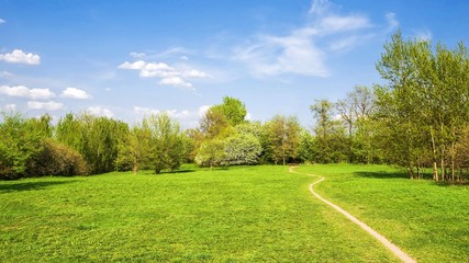 footpath in the park