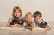 © natalinka29 - Two little boys and the girl play with little puppies